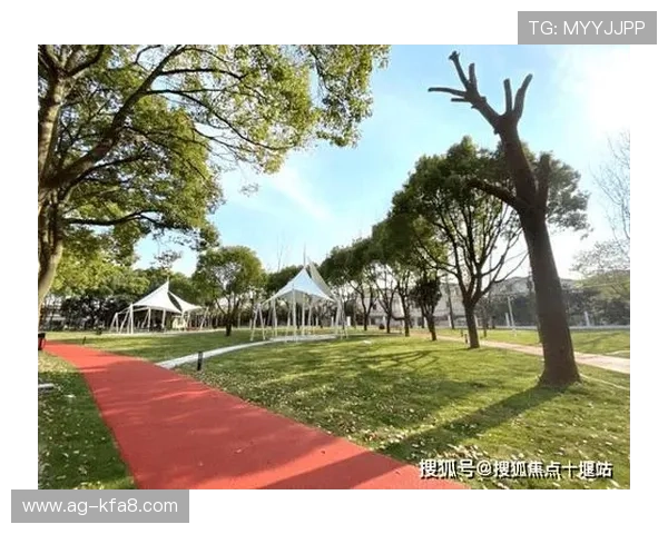 K8凯发娱乐官网平台安全性分析保障玩家资金与信息安全的措施