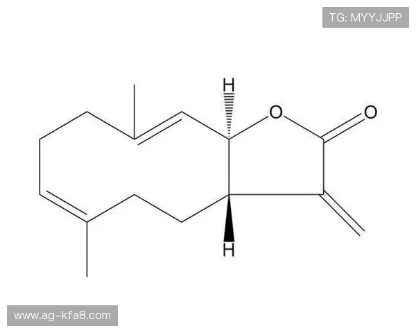k8凯发网址最新安全登录入口推荐，确保玩家游戏体验零风险